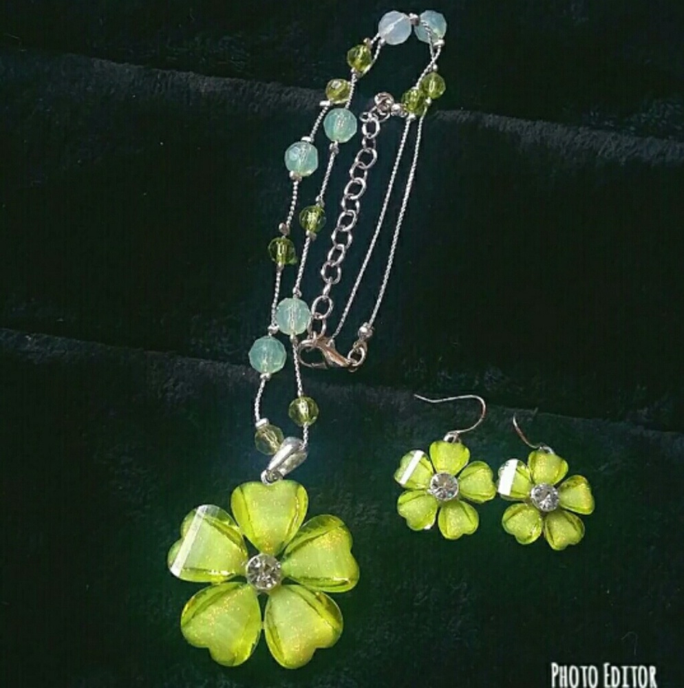 NWOT necklace & earring set